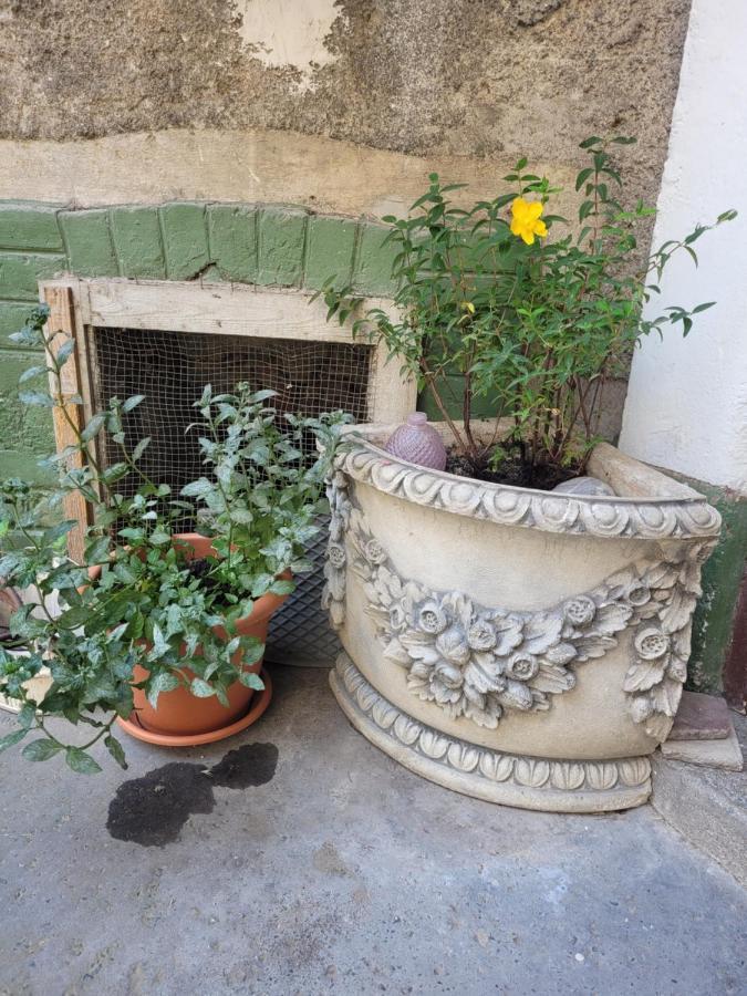 Secret Garden Apartment Загреб Экстерьер фото